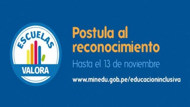 Colegios inclusivos postulan al reconocimiento “escuelas valora 2017”