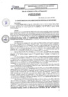 Vista preliminar de documento AC_035-2023-CM-MDSA