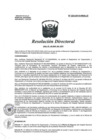 Vista preliminar de documento R.D. Nº 222-2014-HNAL-D.pdf