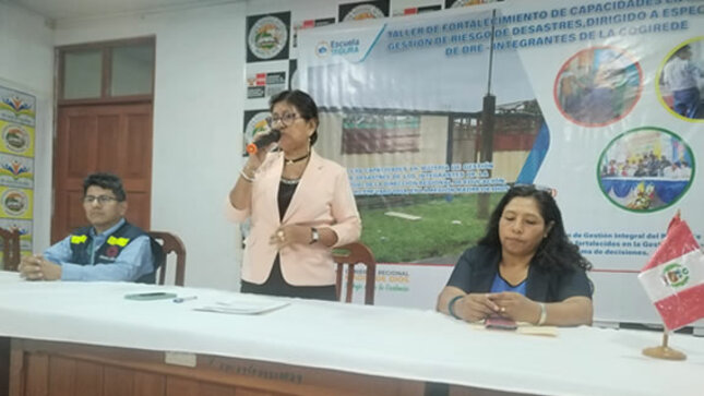 PREVAED realizó primer taller de fortalecimiento de capacidades para integrantes del COGIREDE