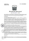Vista preliminar de documento RD N° 377-2014-HNAL-D.pdf