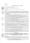 Vista preliminar de documento ordenanza439-2017-MDASA.pdf