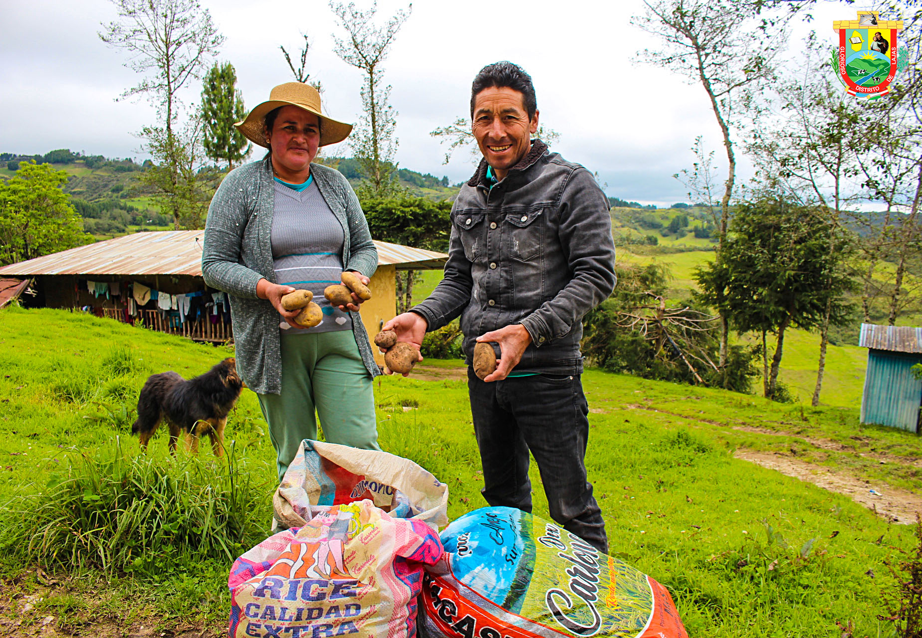 Familias y personas de comunidades de Lajas donan papa para los damnificados afectados por varias lluvias 