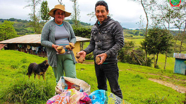 Familias y personas de comunidades de Lajas donan papa para los damnificados afectados por varias lluvias 
