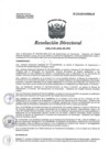 Vista preliminar de documento R.D. Nº 310-2014-HNAL-D.pdf