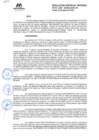 Vista preliminar de documento RGR.GRI N° 074.pdf