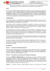 Vista preliminar de documento RG 03-2023 Bases SI Combustible