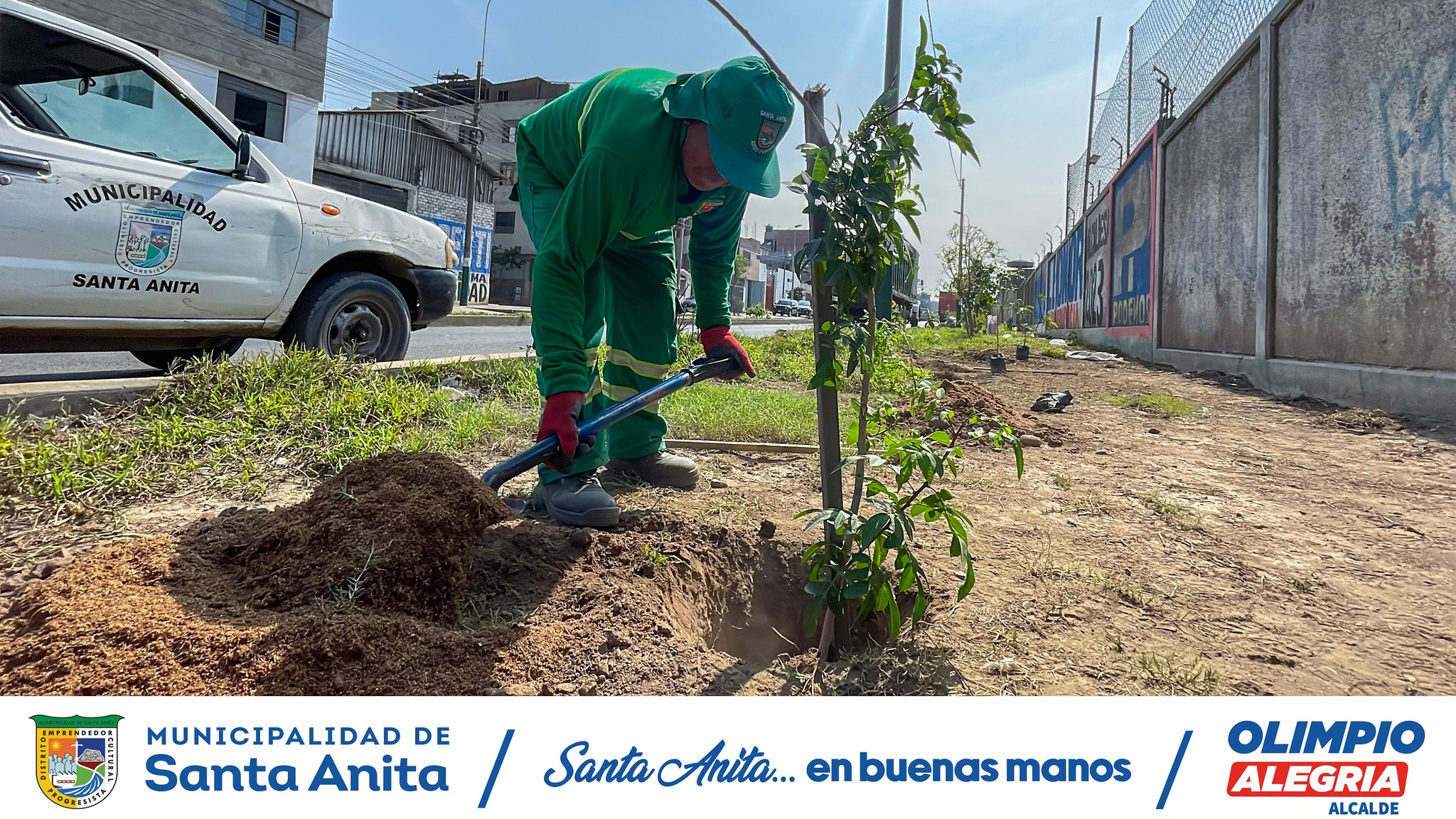 Nuestro personal de Áreas Verdes de la Municipalidad de Santa Anita realizó el sembrado árboles en la Av. Avutardas, Con esta acción buscamos fomentar un ambiente más saludable y sostenible para todos los vecinos.
#olimpioalegria
#santaanitaenbuenasmanos
#Áreasverdes
