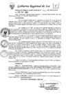 Vista preliminar de documento rggr_041_2021_ggr