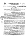 Vista preliminar de documento rggr_102_2020_ggr