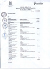 Vista preliminar de documento FE DE ERRATAS RESOLUCION DE ALCALDIA N°209-2022-A-MDP-T