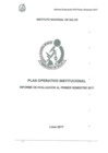 Vista preliminar de documento Evaluación del Plan Operativo Institucional Año 2017 al I Semestre