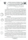 Vista preliminar de documento RER -099-2023-GOREMAD-GR