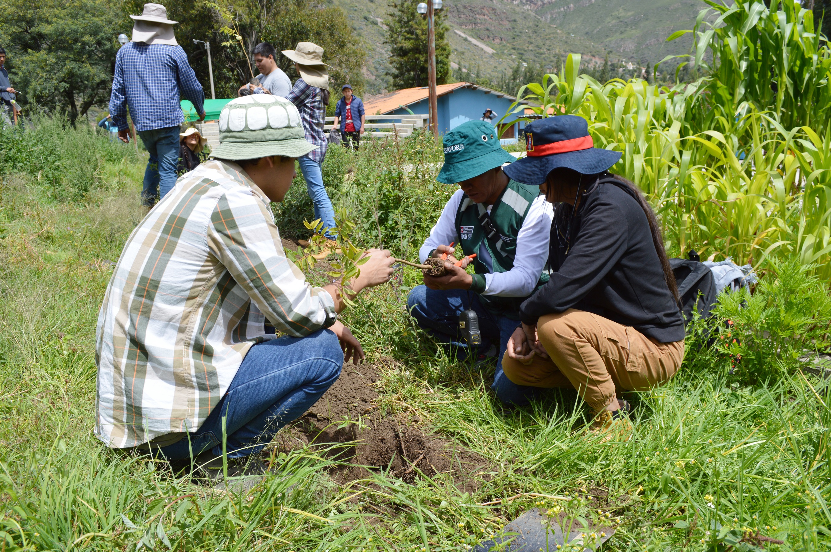 ancash2