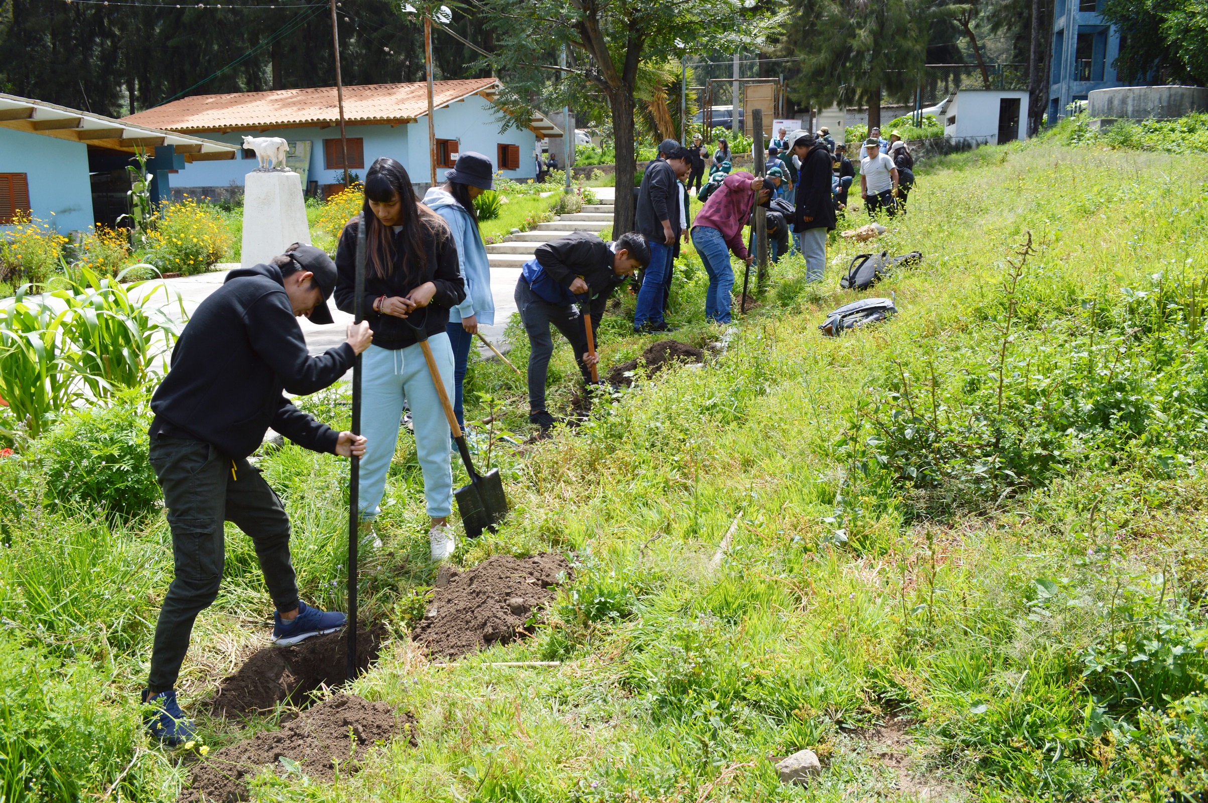 ancash3