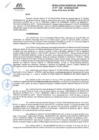 Vista preliminar de documento RGR.GRI N° 077