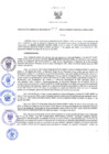 Vista preliminar de documento GRDS. 222 2023