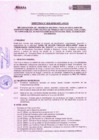 Vista preliminar de documento DIRECTIVA N° 008 - 2018.pdf
