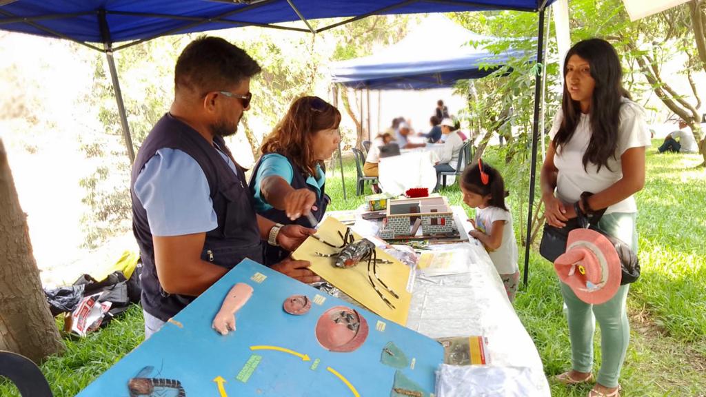 Minsa intensifica acciones de fumigación y prevención del dengue en zonas afectadas de Chosica