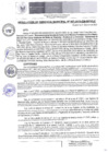 Vista preliminar de documento RGM - 007
