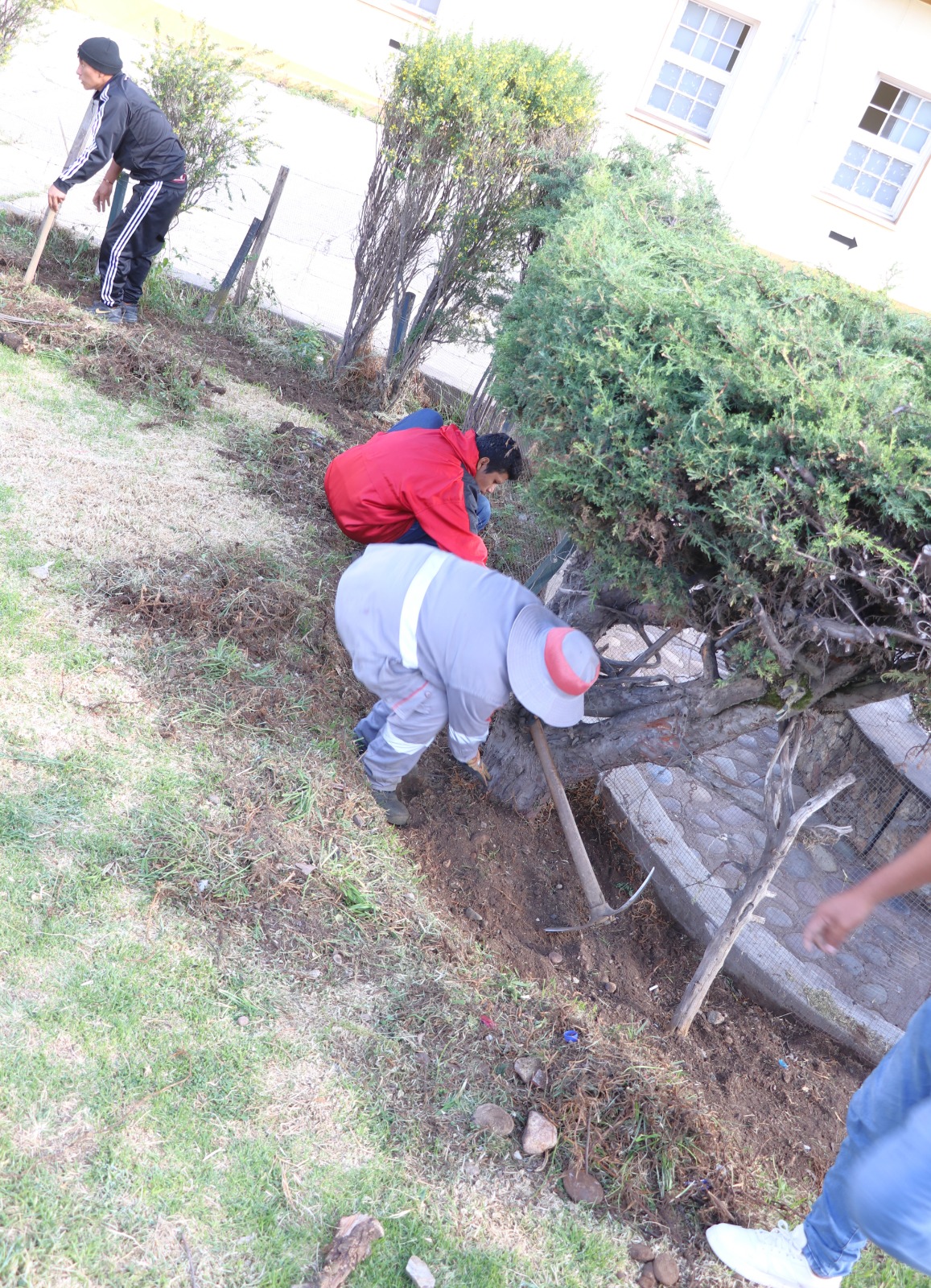 Continuando con las acciones de restauración de suelos degradados, así como de sensibilizar a la población en el cuidado y preservación del medioambiente