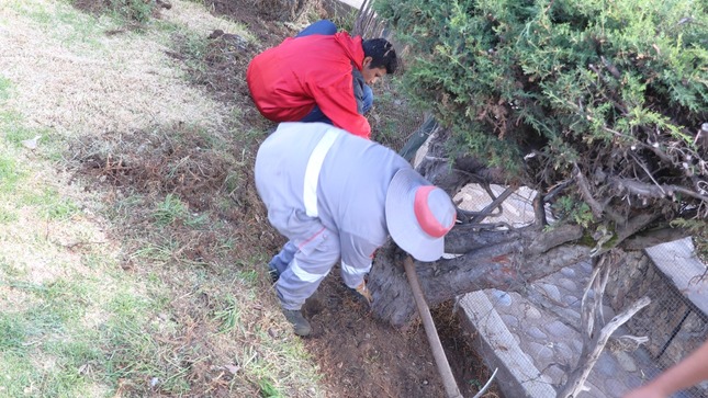 
Continuando con las acciones de restauración de suelos degradados, así como de sensibilizar a la población en el cuidado y preservación del medioambiente