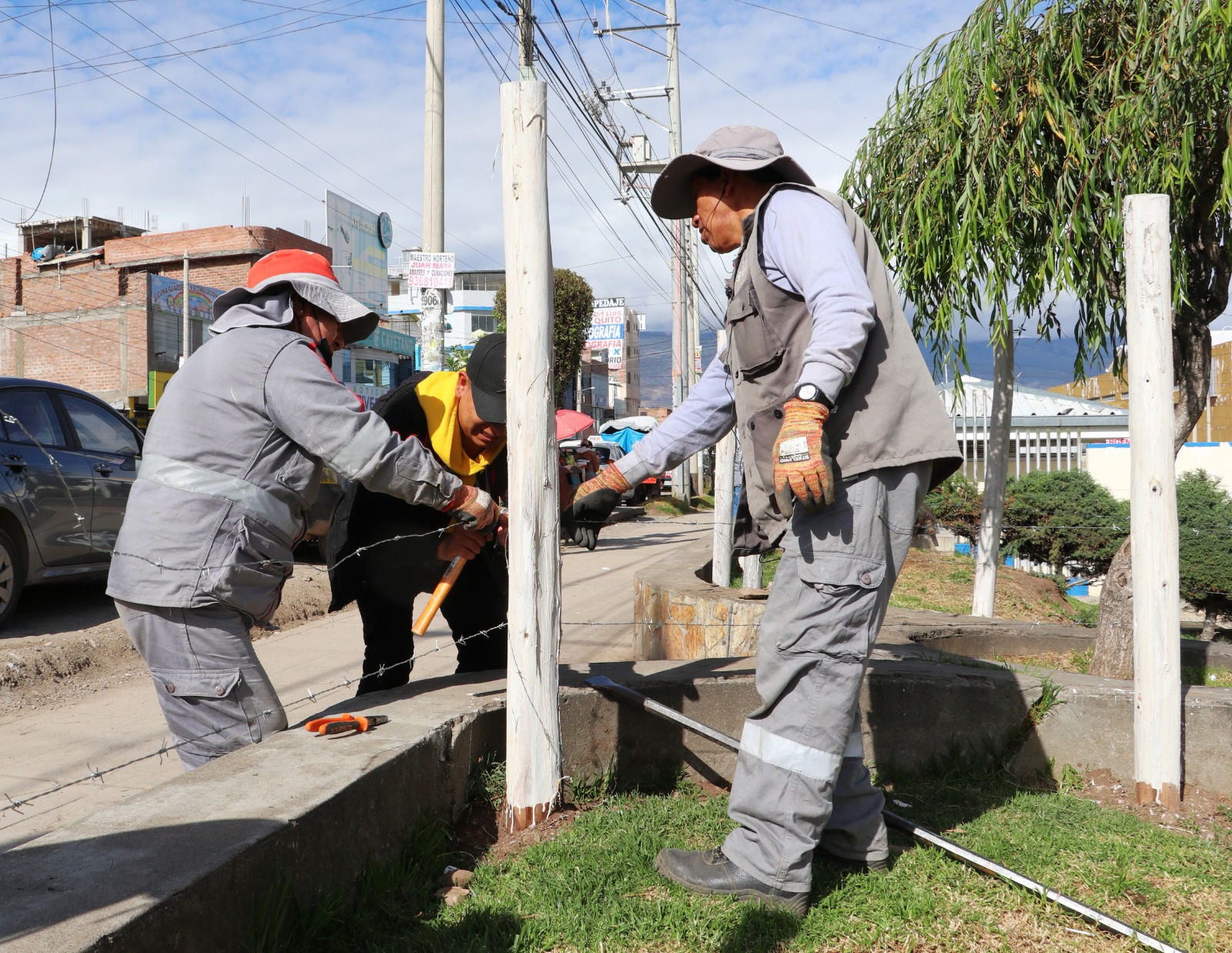 Continuando con las acciones de restauración de suelos degradados, así como de sensibilizar a la población en el cuidado y preservación del medioambiente