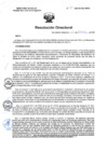 Vista preliminar de documento RD 49-2023