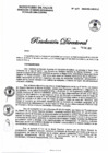 Vista preliminar de documento RESOLCUION DIRECTORAL N° 017-2022-DG-DIRIS-LC