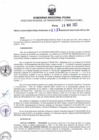 Vista preliminar de documento RDR N° 0131-2023-28-03-2023