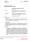 Vista preliminar de documento Mayo - Informe N° 000143-2019-OPP/IPD
