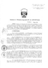 Vista preliminar de documento DIRECTIVA_005_PAC_27_01_2011