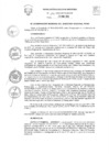 Vista preliminar de documento R.E.R. Nro 172-2023-GR-GR PUNO