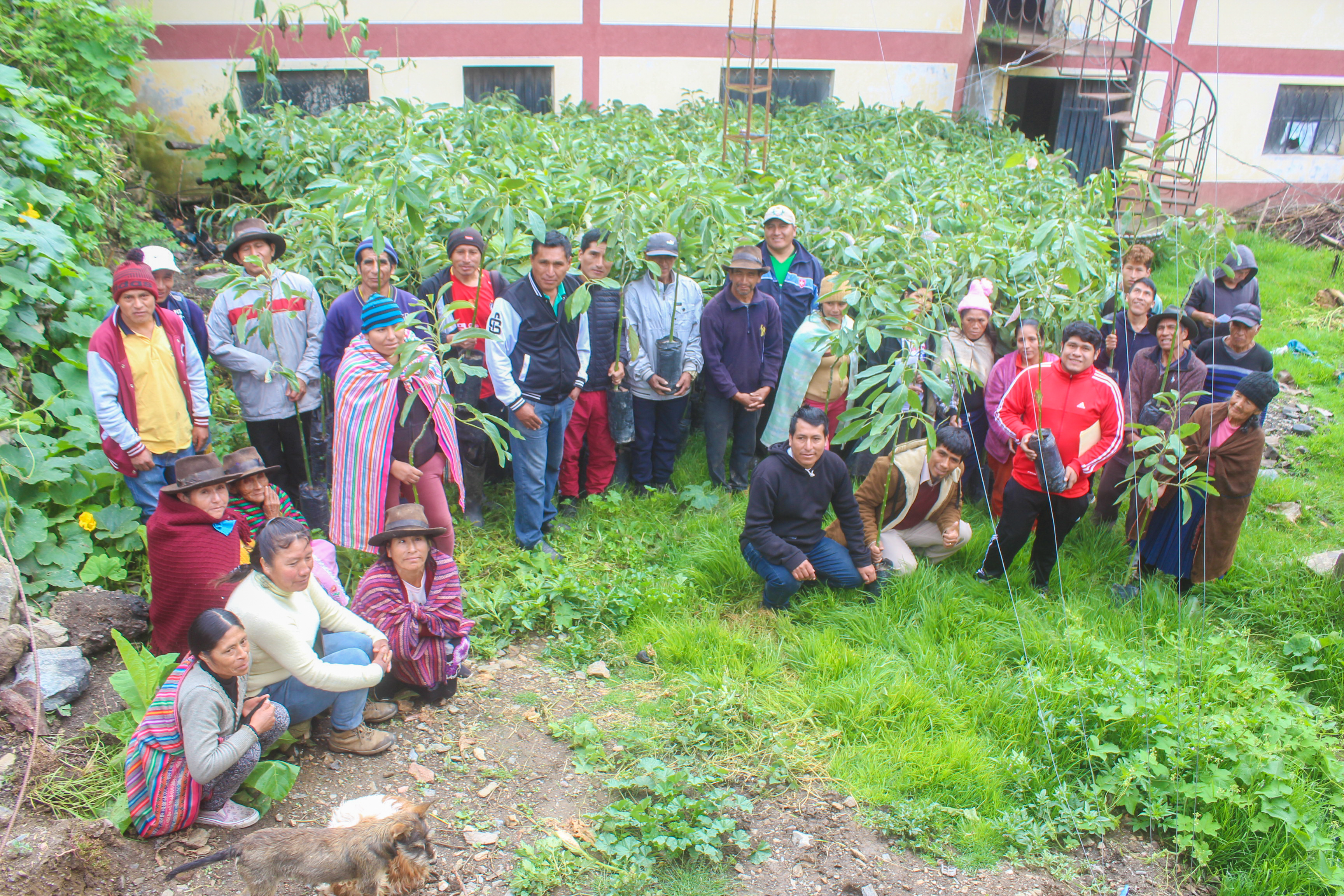 Asociación de Productores Agropecuarios la Venida de Cristo de Chullay, en Yarumayo.