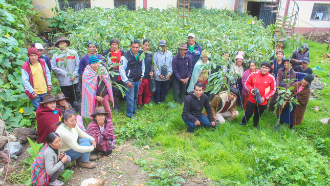 Asociación de Productores Agropecuarios la Venida de Cristo de Chullay, en Yarumayo.