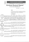 Vista preliminar de documento RDR N° 114-2023-GRSM-DRASAM001