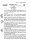 Vista preliminar de documento RESOLUCION DIRECTORAL 133-2023.pdf
