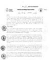Vista preliminar de documento RESOLUCION DIRECTORAL 135-2023.pdf