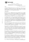 Vista preliminar de documento RESOLUCION GERENCIAL 038