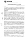 Vista preliminar de documento RESOLUCION GERENCIAL 041
