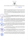 Vista preliminar de documento GRDS. 233 2023