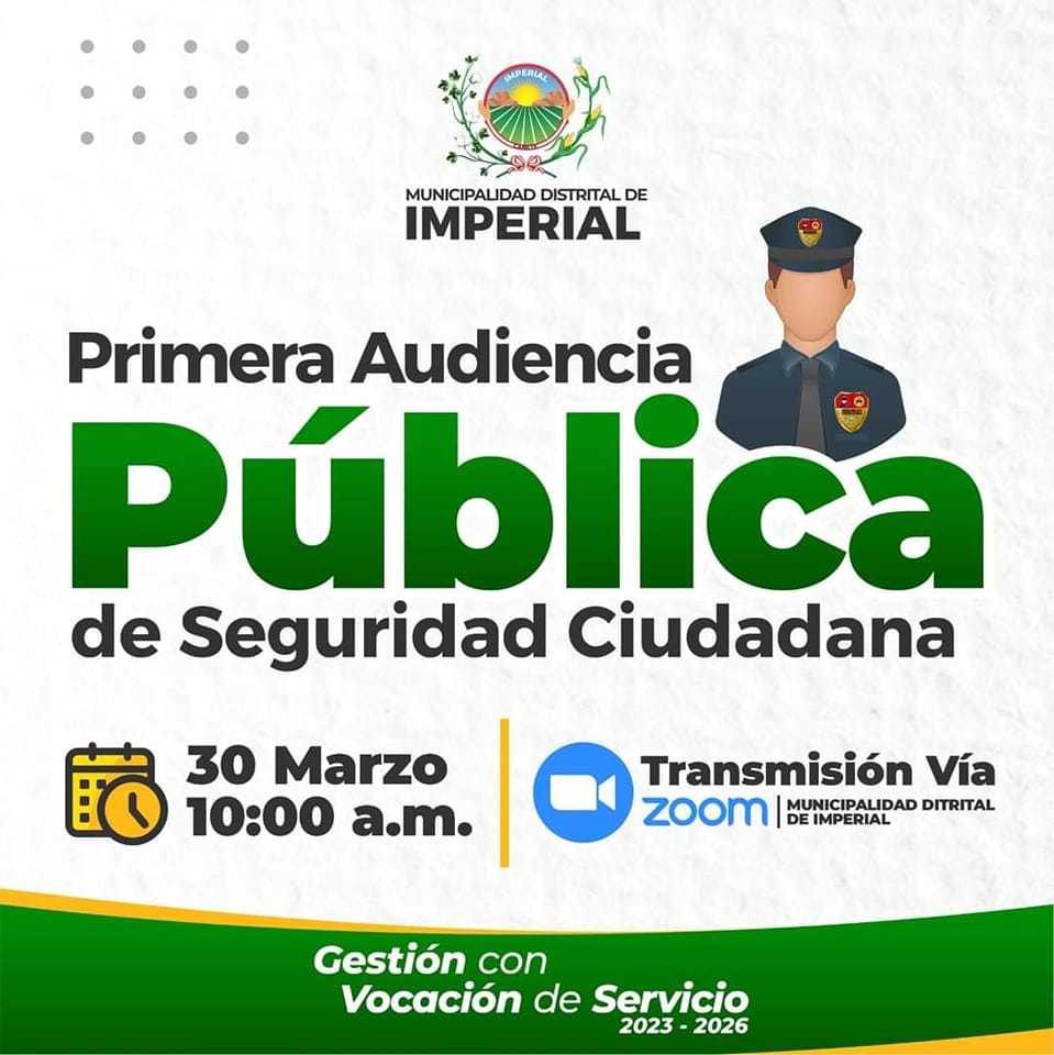 Audiencia Publica Sobre Seguridad Ciudadana