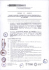Vista preliminar de documento CV-2022-00603-000