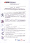 Vista preliminar de documento CV-2022-00907-000