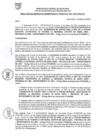 Vista preliminar de documento RESOLUCIÓN DE GERENCIA DE ADMINISTRACION Y FINANZAS N°009-2022-MDSA/GAF