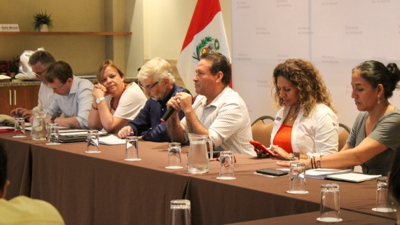 EMBAJADORES
