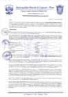 Vista preliminar de documento Resolución Gerencial N° 0014