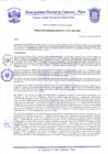 Vista preliminar de documento Resolución Gerencial N° 0012