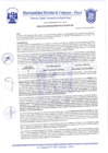 Vista preliminar de documento Resolución Gerencial N° 0022