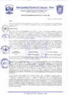 Vista preliminar de documento Resolución Gerencial N° 0011